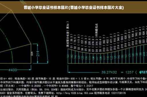 晋城小学毕业证书样本图片(晋城小学毕业证书样本图片大全) 晋城小学毕业证书样本图片(晋城小学毕业证书样本图片大全)