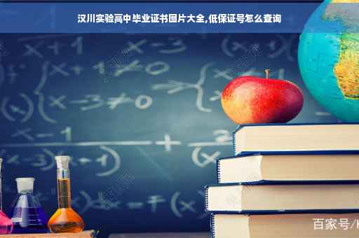汉川实验高中毕业证书图片大全,低保证号怎么查询