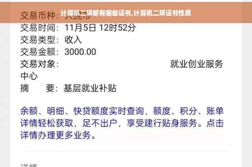 计算机二级都有哪些证书,计算机二级证书性质 计算机二级都有哪些证书,计算机二级证书性质