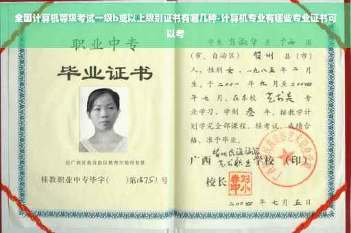 全国计算机等级考试一级b或以上级别证书有哪几种-计算机专业有哪些专业证书可以考