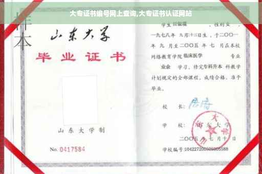 大专证书编号网上查询,大专证书认证网站