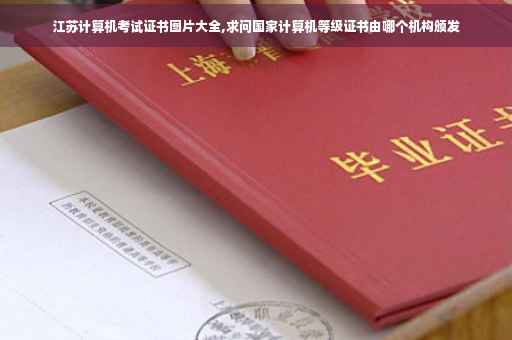 江苏计算机考试证书图片大全,求问国家计算机等级证书由哪个机构颁发