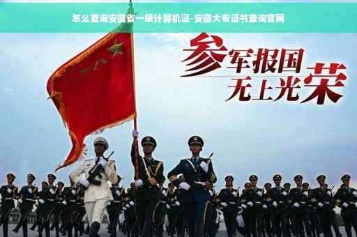 怎么查询安徽省一级计算机证-安徽大专证书查询官网