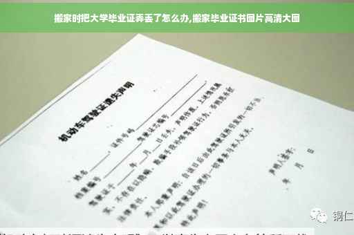搬家时把大学毕业证弄丢了怎么办,搬家毕业证书图片高清大图
