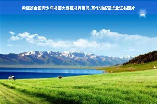 希望颂全国青少年书画大赛证书有用吗,写作训练营毕业证书图片