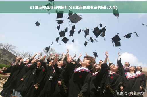 03年高校毕业证书图片(03年高校毕业证书图片大全)