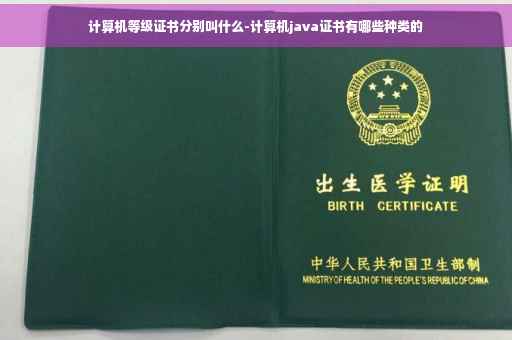 计算机等级证书分别叫什么-计算机java证书有哪些种类的