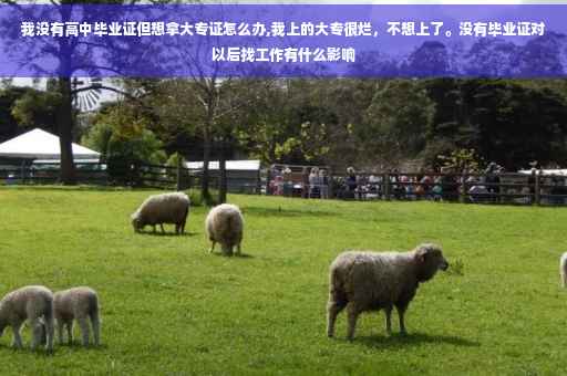 我没有高中毕业证但想拿大专证怎么办,我上的大专很烂，不想上了。没有毕业证对以后找工作有什么影响