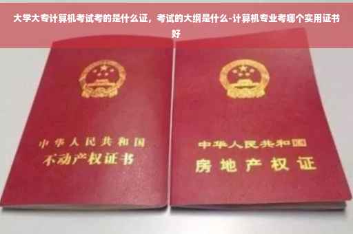 大学大专计算机考试考的是什么证，考试的大纲是什么-计算机专业考哪个实用证书好