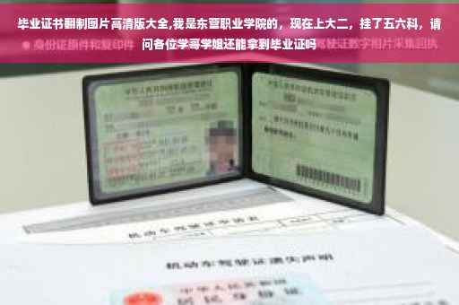 毕业证书翻制图片高清版大全,我是东营职业学院的，现在上大二，挂了五六科，请问各位学哥学姐还能拿到毕业证吗