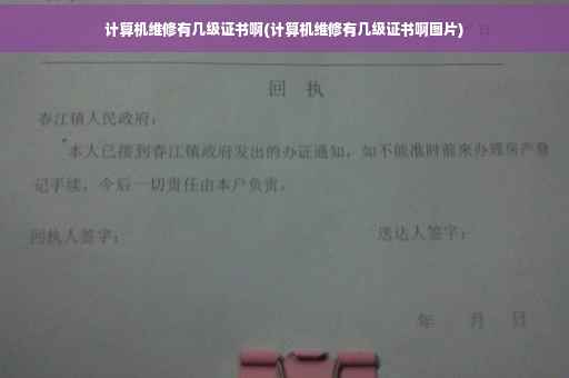 计算机维修有几级证书啊(计算机维修有几级证书啊图片)