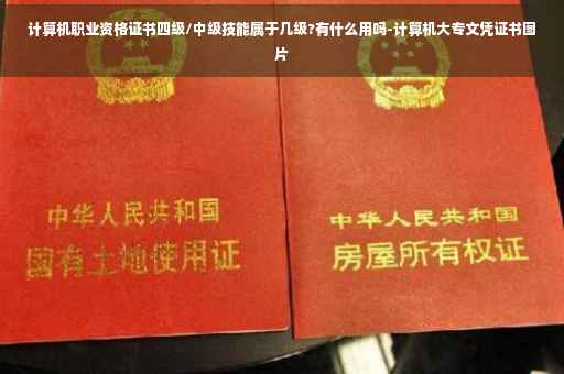 计算机职业资格证书四级/中级技能属于几级?有什么用吗-计算机大专文凭证书图片