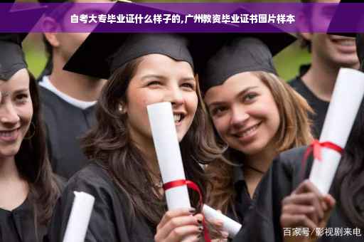 自考大专毕业证什么样子的,广州教资毕业证书图片样本