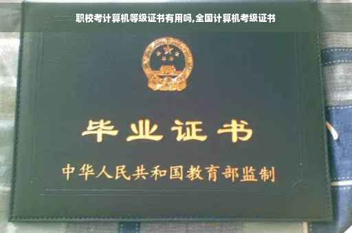 职校考计算机等级证书有用吗,全国计算机考级证书