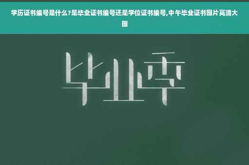 学历证书编号是什么?是毕业证书编号还是学位证书编号,中午毕业证书图片高清大图