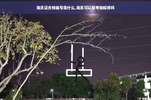 海员证合格编号是什么,海员可以报考验船师吗