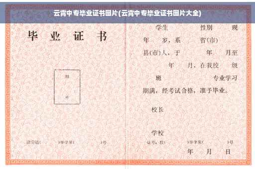 云霄中专毕业证书图片(云霄中专毕业证书图片大全)