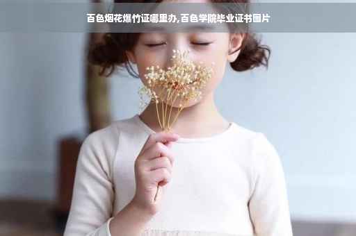 百色烟花爆竹证哪里办,百色学院毕业证书图片