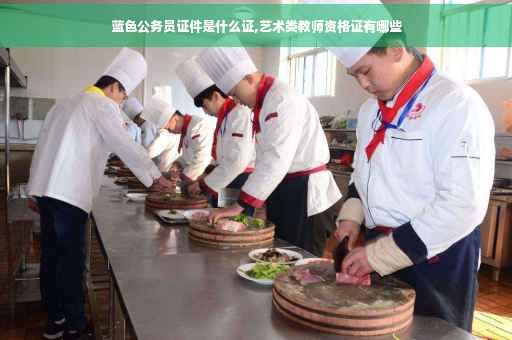 蓝色公务员证件是什么证,艺术类教师资格证有哪些