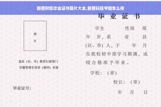 新疆财经毕业证书图片大全,新疆科技学院怎么样