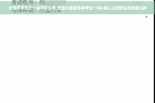计算机学生大一证书怎么考,全国计算机等级考试一级b或以上级别证书有哪几种