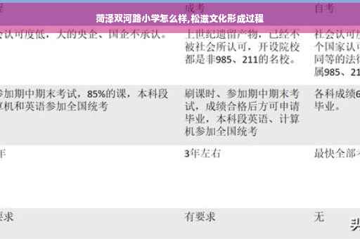 菏泽双河路小学怎么样,松滋文化形成过程