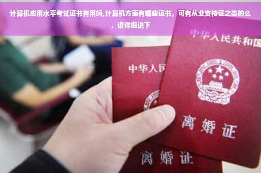 计算机应用水平考试证书有用吗,计算机方面有哪些证书，可有从业资格证之类的么，请详细说下