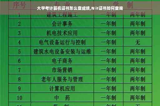 大学考计算机证书怎么查成绩,N it证书如何查询