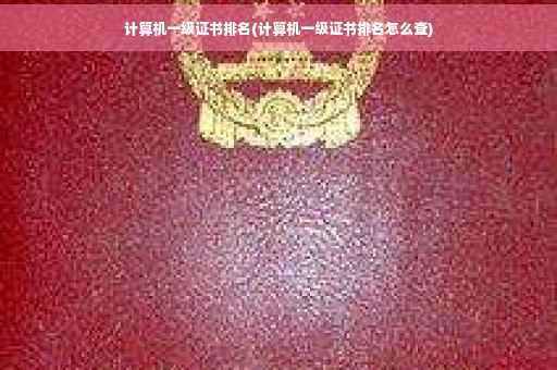 计算机一级证书排名(计算机一级证书排名怎么查)