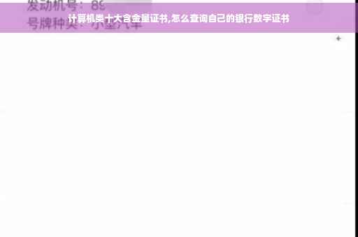 计算机类十大含金量证书,怎么查询自己的银行数字证书