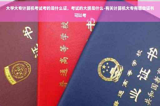大学大专计算机考试考的是什么证，考试的大纲是什么-有关计算机大专有哪些证书可以考