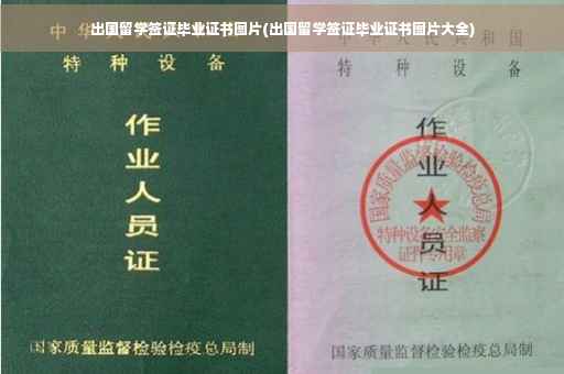 出国留学签证毕业证书图片(出国留学签证毕业证书图片大全)