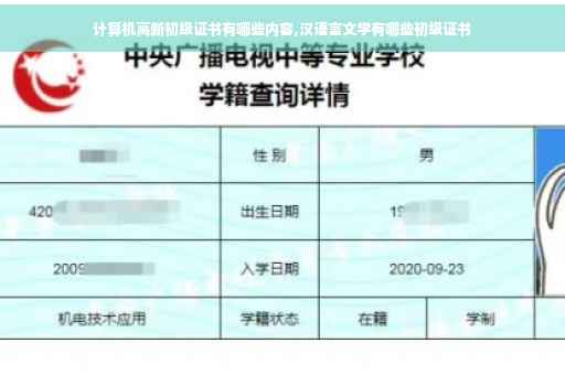 计算机高新初级证书有哪些内容,汉语言文学有哪些初级证书