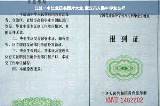 江城一中毕业证书图片大全,武汉市人民中学怎么样