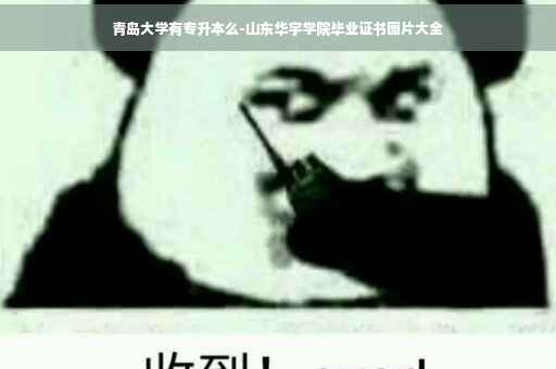 青岛大学有专升本么-山东华宇学院毕业证书图片大全