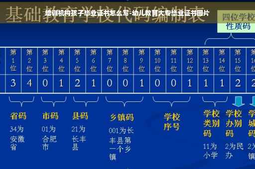 培训机构孩子毕业证书怎么写-幼儿教育大专毕业证书图片