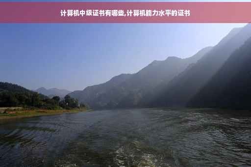 计算机中级证书有哪些,计算机能力水平的证书