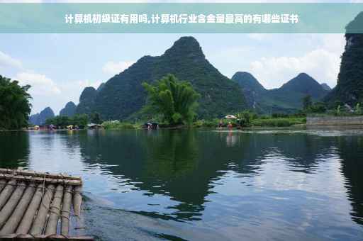 计算机初级证有用吗,计算机行业含金量最高的有哪些证书