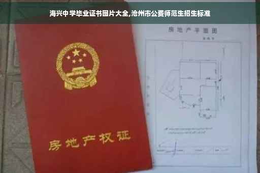 海兴中学毕业证书图片大全,沧州市公费师范生招生标准