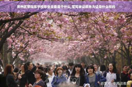 贵州武警指挥学校毕业主要是干什么,军驾驶证换地方证是什么样的 贵州武警指挥学校毕业主要是干什么,军驾驶证换地方证是什么样的