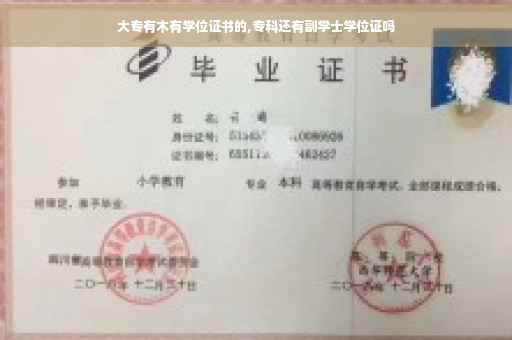 大专有木有学位证书的,专科还有副学士学位证吗