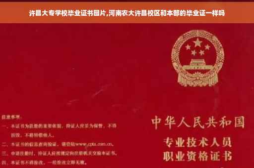 许昌大专学校毕业证书图片,河南农大许昌校区和本部的毕业证一样吗