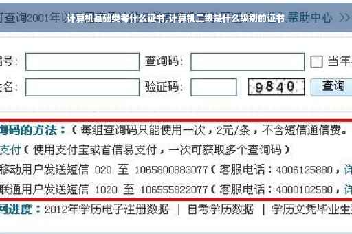计算机基础类考什么证书,计算机二级是什么级别的证书