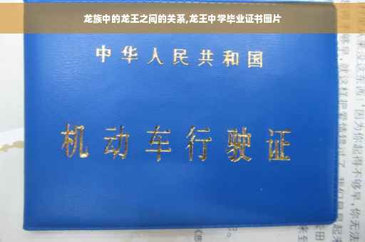 龙族中的龙王之间的关系,龙王中学毕业证书图片
