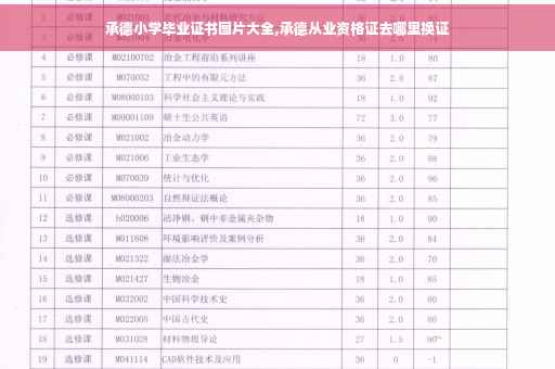承德小学毕业证书图片大全,承德从业资格证去哪里换证