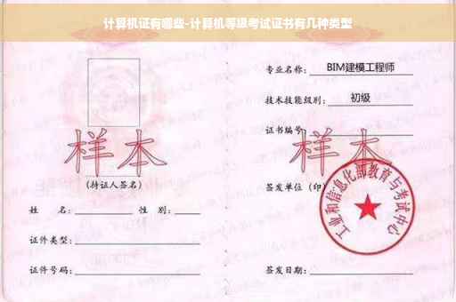 计算机证有哪些-计算机等级考试证书有几种类型