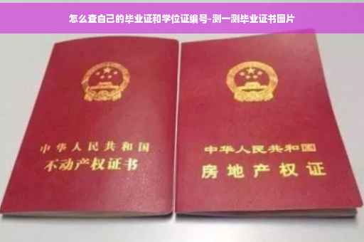 怎么查自己的毕业证和学位证编号-测一测毕业证书图片