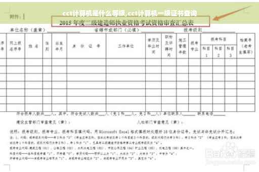 cct计算机是什么等级,cct计算机一级证书查询