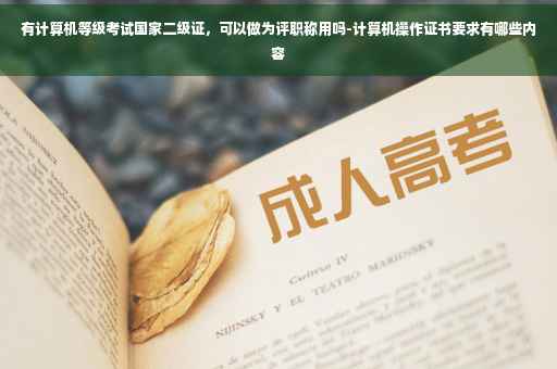有计算机等级考试国家二级证，可以做为评职称用吗-计算机操作证书要求有哪些内容
