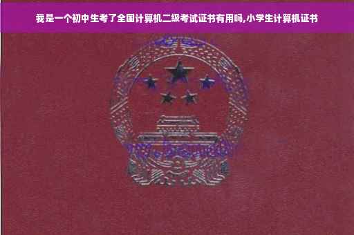 我是一个初中生考了全国计算机二级考试证书有用吗,小学生计算机证书